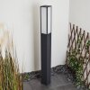 Borne lumineuse Apidou LED Anthracite, 1 lumière