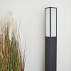 Borne lumineuse Apidou LED Anthracite, 1 lumière