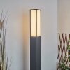Borne lumineuse Apidou LED Anthracite, 1 lumière