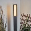 Borne lumineuse Apidou LED Anthracite, 1 lumière