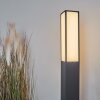 Borne lumineuse Apidou LED Anthracite, 1 lumière