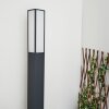 Borne lumineuse Apidou LED Anthracite, 1 lumière