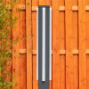 Borne lumineuse Lisalara LED Anthracite, 1 lumière
