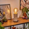 Lampe de table Derville Écru, Noir, 1 lumière