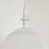 Applique murale d'extérieur Naofe Blanc, 1 lumière