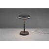 Lampe de table Trio-Leuchten Franklin LED Anthracite, 1 lumière