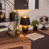 Lampe de table Tapona Brun foncé, Nickel mat, 1 lumière