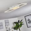 Plafonnier Vaseux LED Blanc, 1 lumière