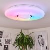 Plafonnier Page LED Blanc, 2 lumières, Télécommandes, Changeur de couleurs