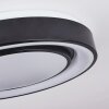 Plafonnier Page LED Noir, Blanc, 2 lumières, Télécommandes, Changeur de couleurs