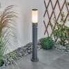 Borne lumineuse Caserta Anthracite, 1 lumière, Détecteur de mouvement