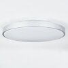 Plafonnier Buris LED Argenté, 1 lumière, Télécommandes