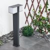 Borne lumineuse Swanek LED Anthracite, 1 lumière