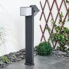 Borne lumineuse Swanek LED Anthracite, 1 lumière