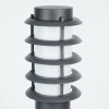 Borne lumineuse Tunes Nickel mat, 1 lumière
