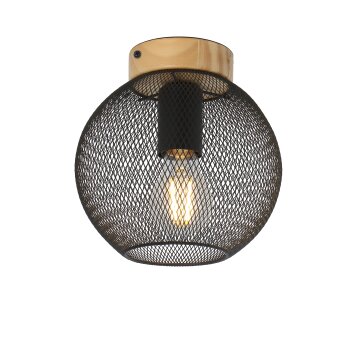 Plafonnier Globo PABLO Noir, 1 lumière
