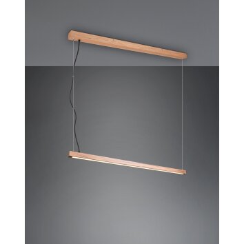 Suspension Trio-Leuchten Bellari LED Brun, 1 lumière