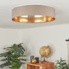 Plafonnier Elsa LED Blanc, 1 lumière