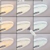 Plafonnier Cham LED Chrome, Blanc, 2 lumières, Télécommandes, Changeur de couleurs