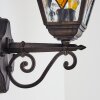 Applique murale d'extérieur Chatelain Cuivre, Noir, 1 lumière