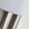 Applique murale d'extérieur Sessa Nickel mat, 1 lumière