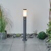 Borne lumineuse Sessa Anthracite, 1 lumière, Détecteur de mouvement