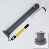 Borne lumineuse Sessa Anthracite, 1 lumière, Détecteur de mouvement