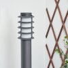 Borne lumineuse Tunes Anthracite, 1 lumière