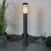 Borne lumineuse Tunes Anthracite, 1 lumière
