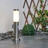 Borne lumineuse Sessa Nickel mat, 1 lumière, Détecteur de mouvement