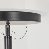 Lampadaire Busswil LED Noir, 2 lumières
