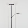 Lampadaire Busswil LED Noir, 2 lumières