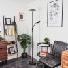 Lampadaire Busswil LED Noir, 2 lumières