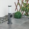 Borne lumineuse Sessa Anthracite, 1 lumière