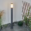 Borne lumineuse Sessa Anthracite, 1 lumière, Détecteur de mouvement