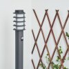 Borne lumineuse Tunes Anthracite, 1 lumière, Détecteur de mouvement