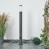 Borne lumineuse Sessa Anthracite, 1 lumière Borne lumineuse Sessa Anthracite, 1 lumière