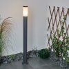 Borne lumineuse Sessa Anthracite, 1 lumière