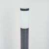 Borne lumineuse Sessa Anthracite, 1 lumière