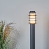 Borne lumineuse Tunes Anthracite, 1 lumière