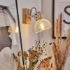 Plafonnier Orny Écru, Blanc, 1 lumière
