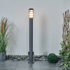 Borne lumineuse Tunes Anthracite, 1 lumière