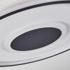 Plafonnier Kolo LED Blanc, 1 lumière, Télécommandes