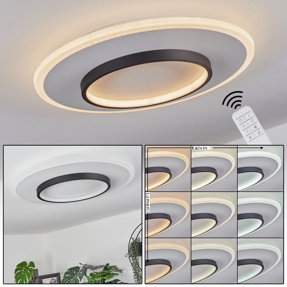 Plafonnier Andelfingen LED Blanc, 1 lumière, Télécommandes main product photo