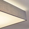 Plafonnier Tise LED Blanc, 1 lumière