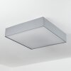 Plafonnier Tise LED Blanc, 1 lumière