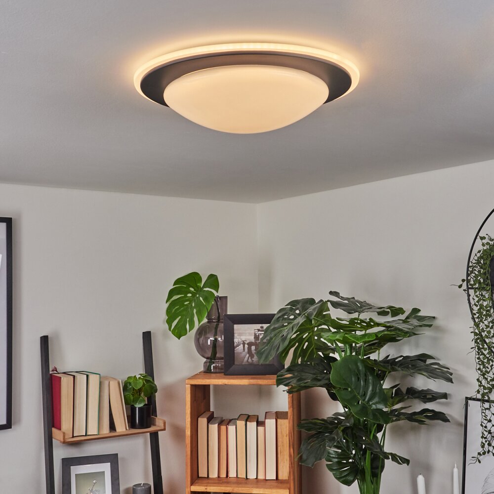 Plafonnier Wil LED Anthracite, Blanc, 1 lumière main product photo