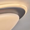 Plafonnier Wil LED Anthracite, Blanc, 1 lumière