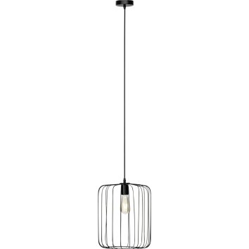 Suspension Brilliant Flavian Noir, 1 lumière Suspension Brilliant Flavian Noir, 1 lumière