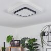 Plafonnier Andelfingen LED Blanc, 1 lumière, Télécommandes